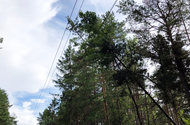 power outage near power lines